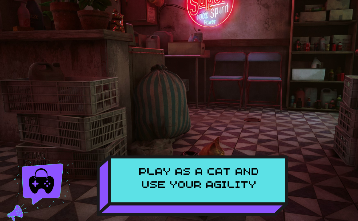 Stray Ps5
