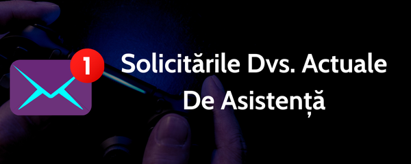 Solicitările Dvs. Actuale De Asistență