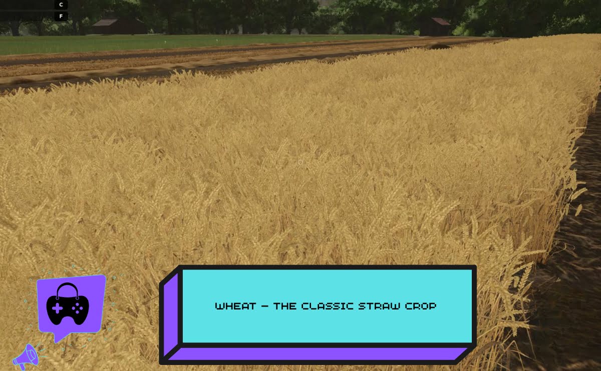 Wheat – The Classic Straw Crop in Farming Simulator 25
