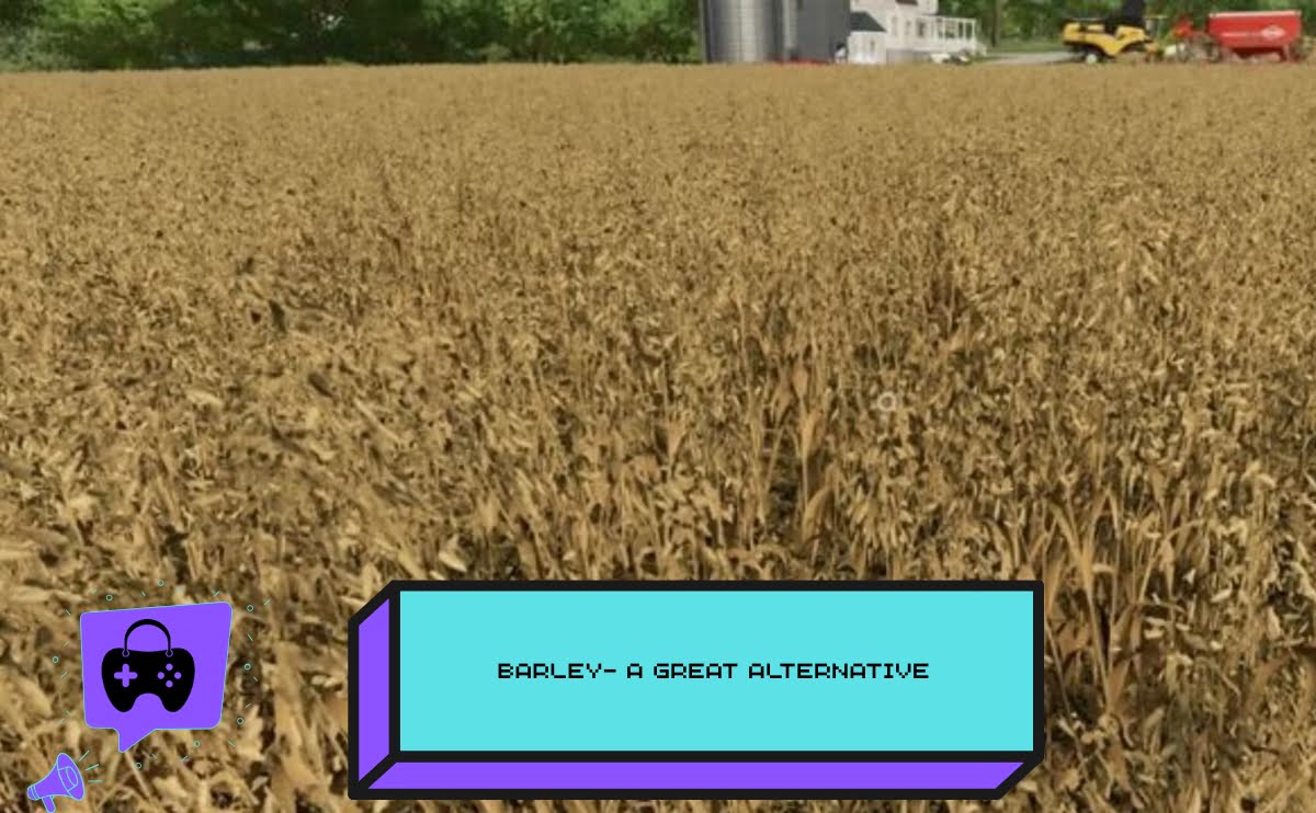 Barley- A Great Alternative in Farming Simulator 25