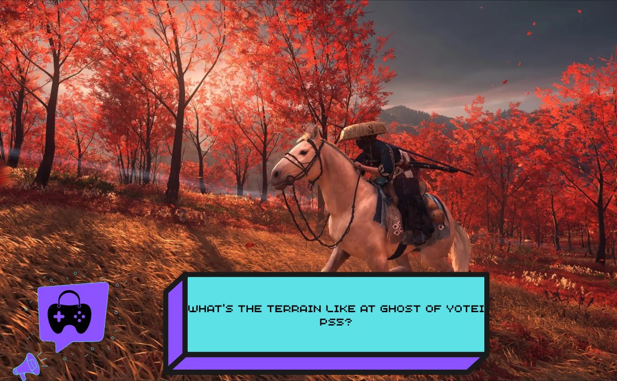 Terrain Like at Ghost of Yōtei Ps5